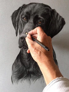 Animal Portrait