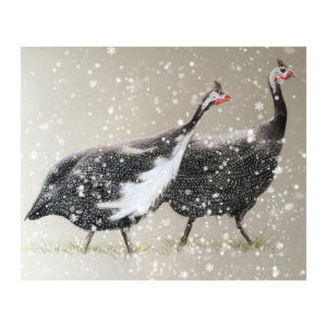 Pastels - Guineafowl