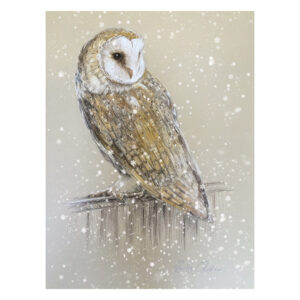 Pastel - Barn Owl 2