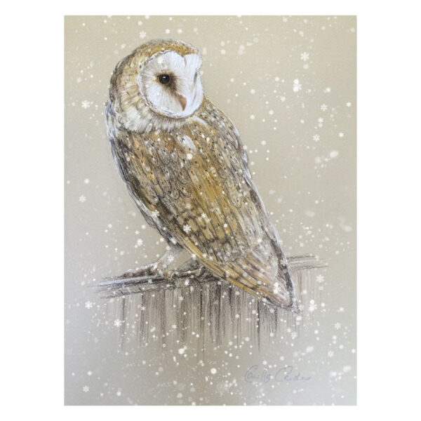 Pastel - Barn Owl 2