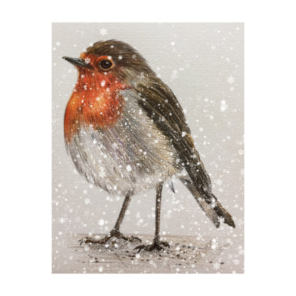 Pastel - Robin