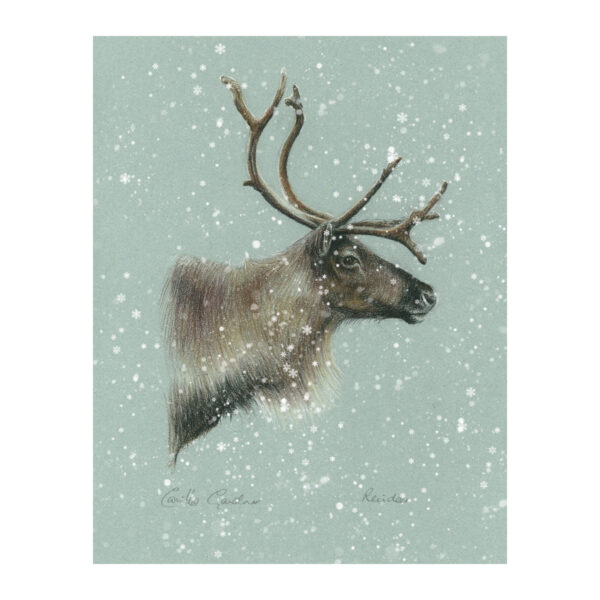 Pastel - Reindeer