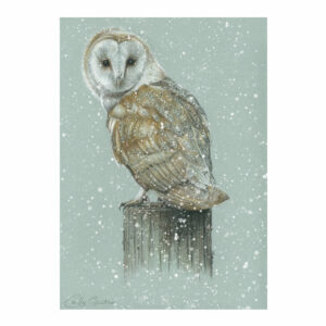 Pastels - Barn Owl 1