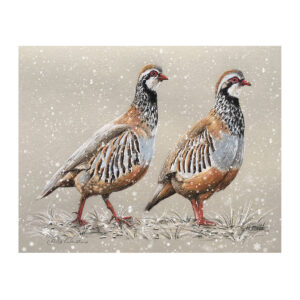 Pastels - Pair of Partridge
