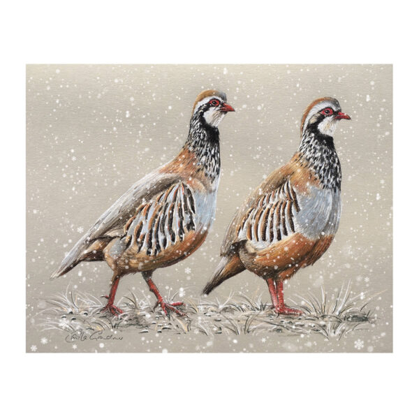 Pastels - Pair of Partridge
