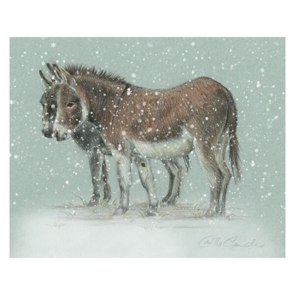Pastel - Donkeys