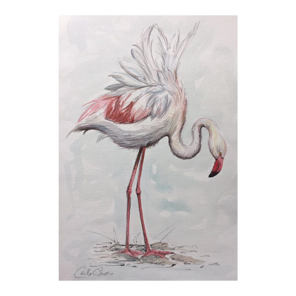 Flamingo - Watercolour