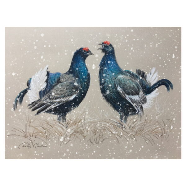 Pastel - Black Grouse