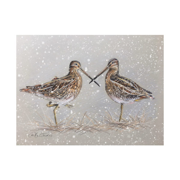 Pastel - Snipe