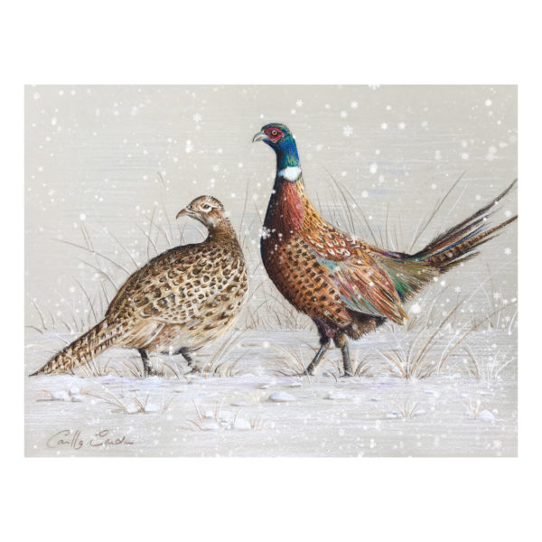 Pastel - Mr and Mrs Pheasant