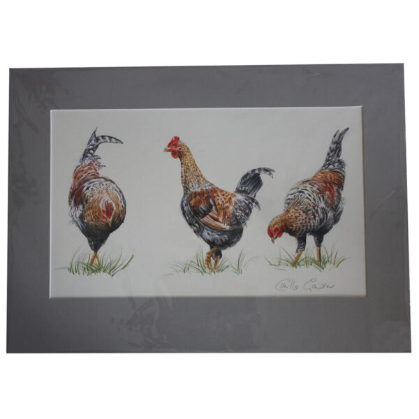 Three Hens. SOLD
