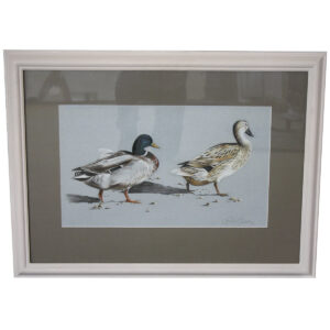 Ducks SOLD