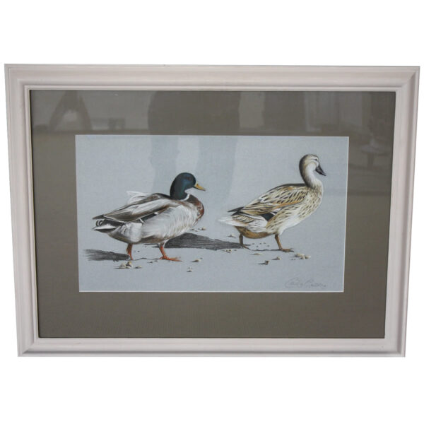 Ducks SOLD