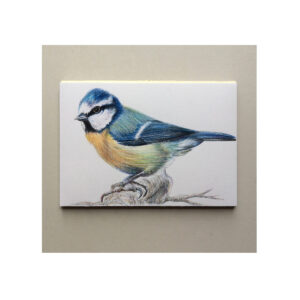 Blue Tit SOLD
