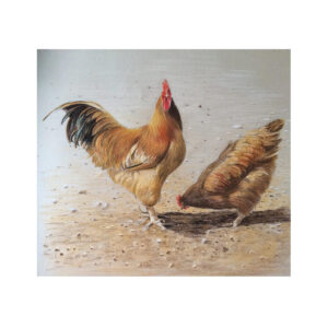 Chicken.  SOLD