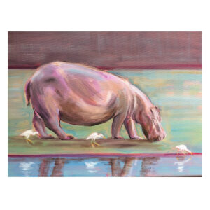 Hippo grazing with Egrets