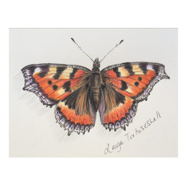 Tortoiseshell