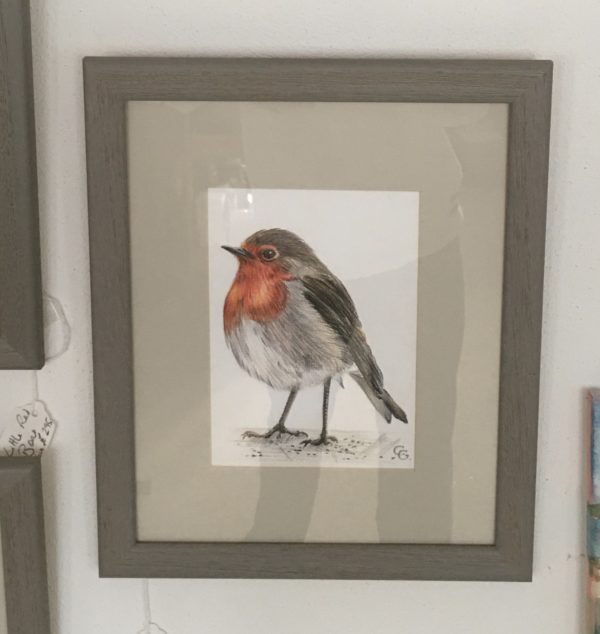 Robin SOLD - Image 2