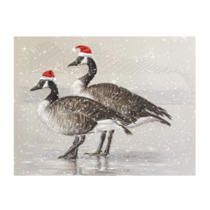 Canada Geese card. (Blank inside)