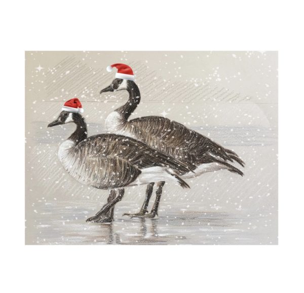 Canada Geese card. (Blank inside)